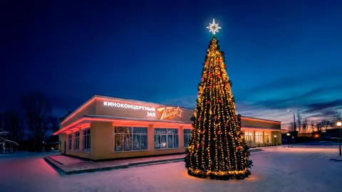 Уральская ель 9 м